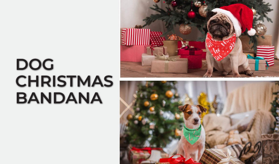 Dog Christmas Bandana. Top 10 Best Selling Dog Christmas Bandanas in April 2024
