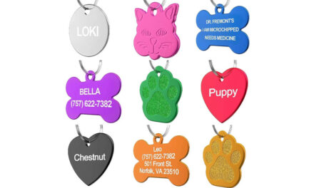 Personalized Cat Tags. Top 10 Best Selling Personalized Cat Tags in May 2024