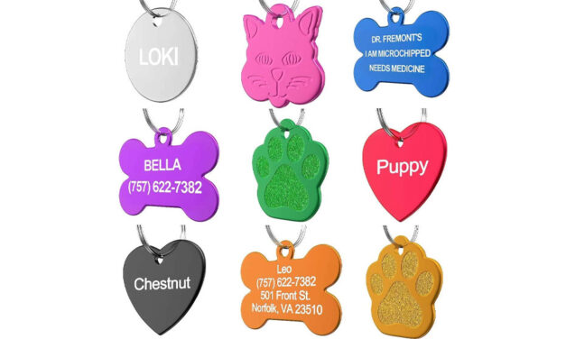 Personalized Cat Tags. Top 10 Best Selling Personalized Cat Tags in February 2023