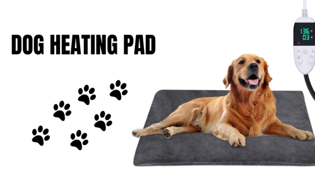 Dog Heating Pad. Top 10 Best Selling Dog Heating Pads in February 2023